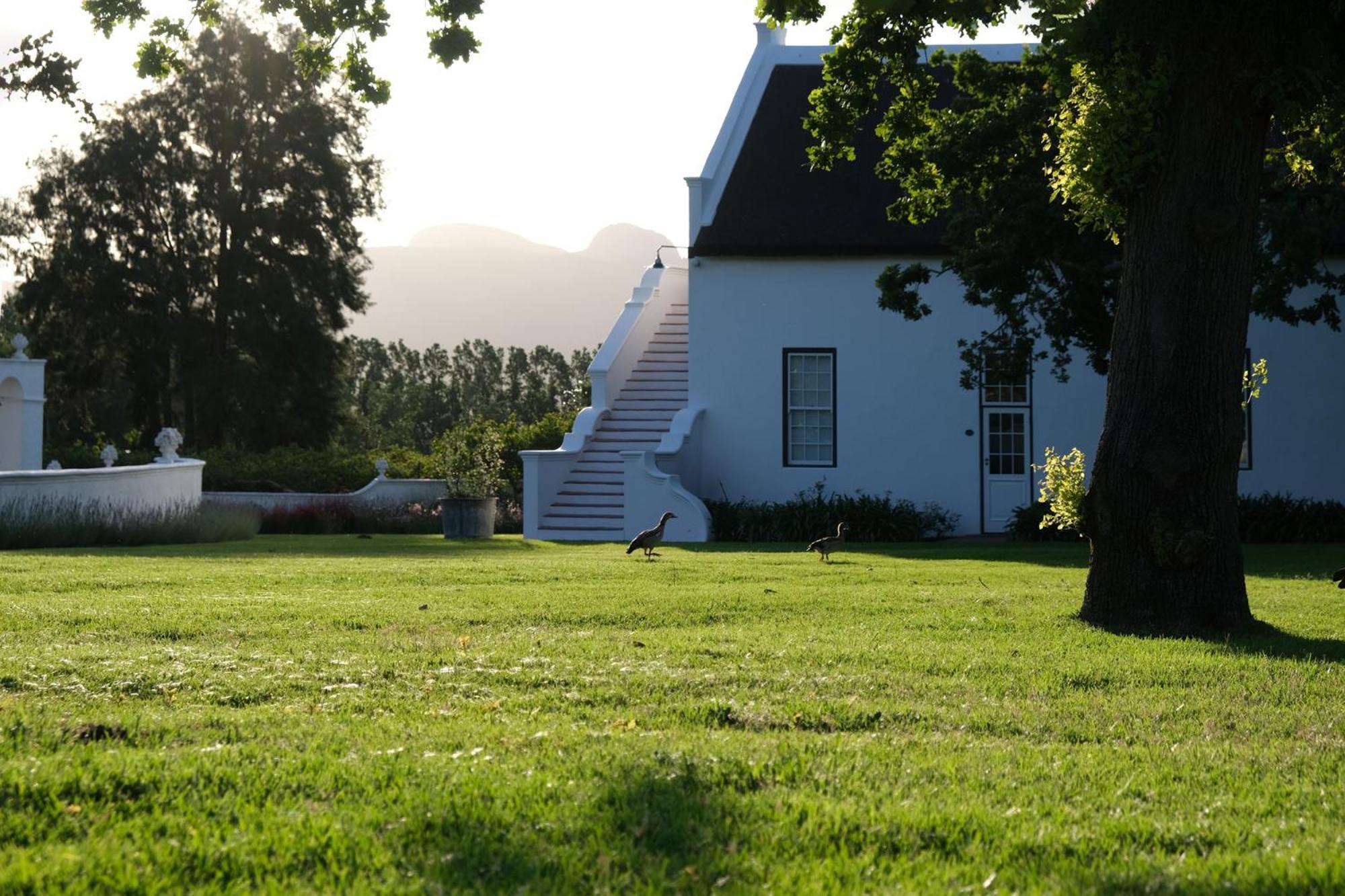 Adara Palmiet Valley Luxurious Boutique Farm Hotel Paarl Kültér fotó